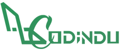 Codindu Logo